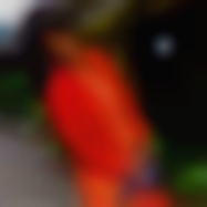 photo-profil